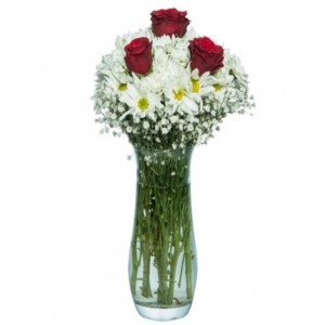 Papatya ve 3 Gül aranjman Papatya ve 3 Gül aranjman